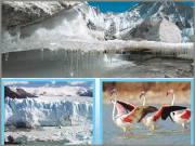 پگھلتے گلیشیئرز