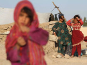 افغانستان میں غربت کے باعث مال مویشیوں کے بدلے کم عمر لڑکیوں کی شادیاں