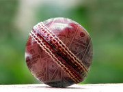 پیسہ یا کرکٹ