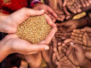 بھارت میں بھوک اور کم خوراکی کی شرح پاکستان اور بنگلہ دیش سے تجاوز کرگئی