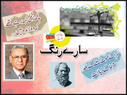 سارے رنگ