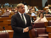 بچہ بچہ گواہی دے رہا ہے کہ 74 سال میں یہ بدترین حکومت آئی ہے شہباز شریف