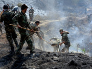 دمشق میں جنگلات کو آگ لگانے پر 24 افراد کو پھانسی دیدی گئی