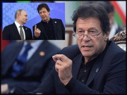 شنگھائی تعاون تنظیم