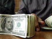 ڈالر کی اونچی پرواز قدر 176 روپے سے بھی اوپر چلی گئی