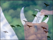 عام انتخابات اور سیاسی پنچھیوں کی سوچ