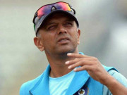 بھارتی کرکٹ بورڈ نے ڈریوڈ کو ٹیم کا نیا ہیڈ کوچ مقرر کردیا