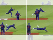 علیم ڈار نے جڈیجا کے ’کیچ آف دی ٹورنامنٹ‘ کو آؤٹ قرار نہ دیا