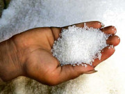 سرکاری چینی پشاور پہنچ گئی کل سے 90 روپے میں فروخت ہوگی