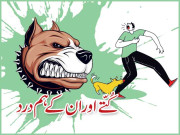 کُتّے اور ان کے ہم درد