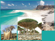 وہ جزیرہ۔۔۔جہاں حُسن اور حیرت کی انوکھی دنیا آباد ہے