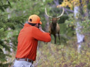 پنجاب حکومت کا جانوروں کے شکار کیخلاف پروٹیکشن فورس بنانے کا فیصلہ