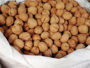 اخروٹوں میں بھری چرس اور آئس اسمگلنگ کی کوشش ناکام