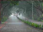 ملک بھر میں رواں ماہ سے بارشوں کی پیش گوئی