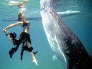 لڑکی ہے  کہ حیرت اطالوی ٹاپ فیشن ماڈل  رَوبرٹا مینکینو