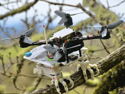 درخت کی ٹہنیوں پر بیٹھنے کے قابل پنجے والا ڈرون