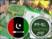 تیر سے شیر کیسے ہوا گھائل