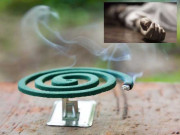 بند کمرے میں مچھر مار گلوب کا دھواں مزدور دم گھٹنے سے ہلاک