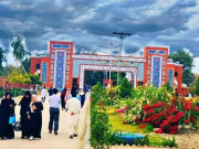 شاہ لطیف یونیورسٹی کی طالبہ کے اغوا کی کوشش ناکام بنانے والے 3 طلبہ فائرنگ میں زخمی