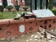 بھارت میں ہندوانتہاپسندوں کا ایک اورچرچ پرحملہ