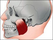 انسانی جسم کا ایک اور نامعلوم حصہ دریافت