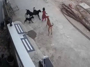 بھارت میں 4 سالہ بچی کو کتوں کے بھنبھوڑنے کی ہولناک ویڈیو وائرل