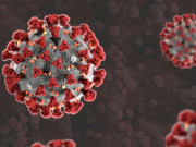 حکمران نظام صحت کی فکر کریں