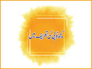 زباں فہمی کچھ ٹوپی کی تعریف میں