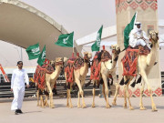 سعودی عرب میں اونٹنیوں کے مقابلۂ حسن کا آغاز