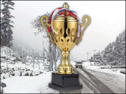 سانحات کی ٹرافی