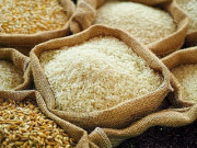 حکومت کی غفلت سے چاول کی برآمدات میں کمی ہوجائے گی رائس ایکسپورٹرز
