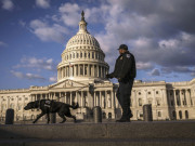 امریکا کا داخلی دہشت گردی کے خلاف یونٹ قائم کرنے کا فیصلہ