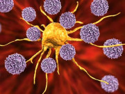 پھیپھڑوں کے کینسر سے اموات کی شرح میں کمی