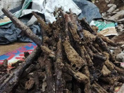 کراچی میں گودام کی کھدائی کے دوران جنگی اسلحہ گولہ بارود برآمد
