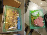 پشاور ایئرپورٹ پر 10 کروڑ روپے کا سونا اسمگل کرنے کی کوشش ناکام