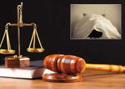 قتل کیس کی قیدی خاتون انتقال کے 7 ماہ بعد بے گناہ قرار