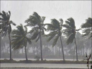 کراچی میں طوفانی ہوائیں چلنے سے بچے سمیت 5 افراد جاں بحق متعدد زخمی