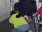 امریکی شہری کتے کو بچانے کے لیے جنگلی ریچھ سے لڑ پڑا ویڈیو وائرل