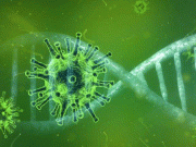 صوبے بھر میں کورونا کیسز بڑھنے لگے پشاور میں شرح 33 فیصد تک پہنچ گئی