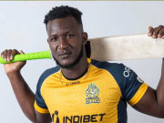 ڈیرن سیمی نے پشاور زلمی کے فائنل میں پہنچنے کی پیش گوئی کردی