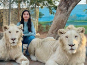 نورا فتیحی کی دبئی میں شیروں کے ساتھ تصاویر وائرل