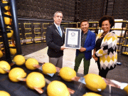 تین ہزار لیموں پر مشتمل دنیا کی سب سے بڑی ’پھل بیٹری‘ کا ریکارڈ قائم
