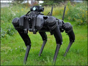 امریکا نے سرحدی نگرانی کےلیے روبوٹ کتے تعینات کردیئے