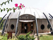 ملک کا پہلا تتلی گھر 2 سال سے بند ماہرین نے منصوبے کو پیسے کا ضیاع قرار دے دیا