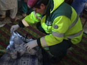 راولپنڈی میں استاد کے ہاتھوں 12 سالہ بچی کا قتل