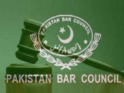 پاکستان بار کونسل کے ممبران نے پیکا قانون میں ترمیم کی حمایت کردی