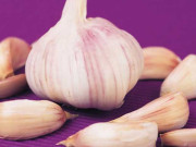 ’ لہسن ‘ جس کا افادیت میں کوئی ثانی نہیں