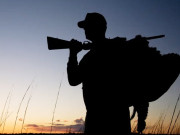 پنجاب میں شکاریوں کے لائسنس کمپیوائزڈ کرنے کا فیصلہ