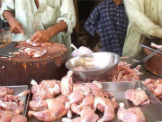 راولپنڈی میں مرغی کی قیمت سال کی بلند ترین سطح کو چھونے لگی