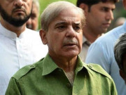 عمران خان کی عقل ماؤف ہوچکی اور اپنا انجام نظر آرہا ہے شہباز شریف